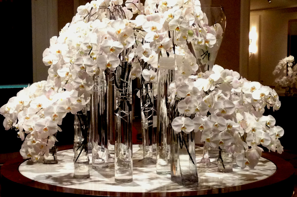 Embrace Bliss: Manhattan Beach Wedding Planner & Event Coordinator - White Orchids