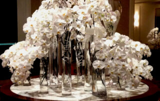 Embrace Bliss: White Orchids: Wedding Inspiration
